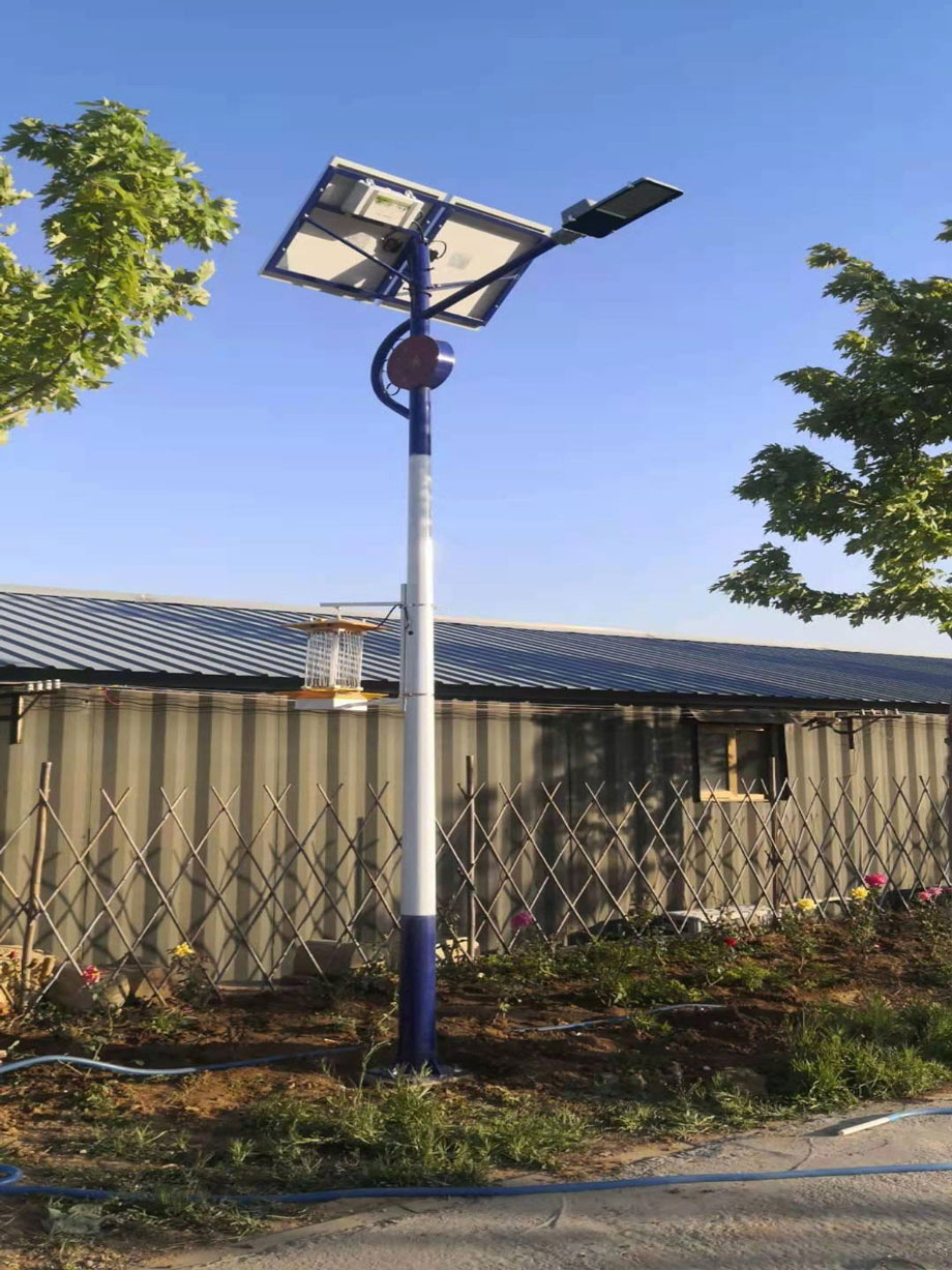 ɽ^(q)rI(y)̫·+xһw